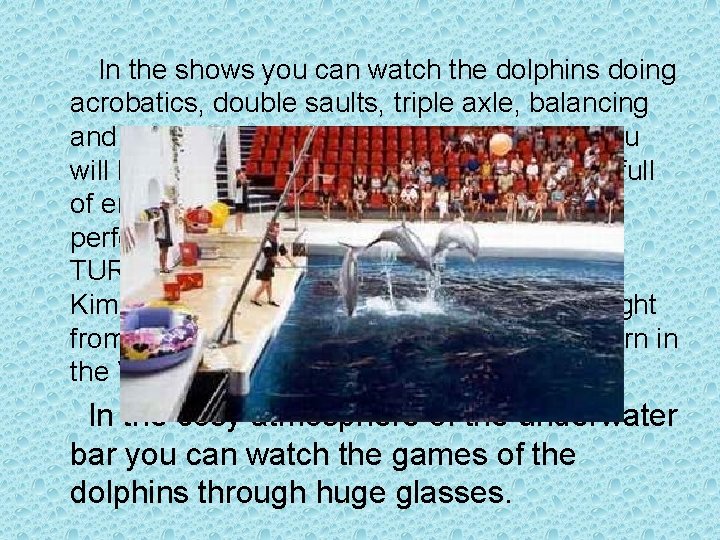  In the shows you can watch the dolphins doing acrobatics, double saults, triple