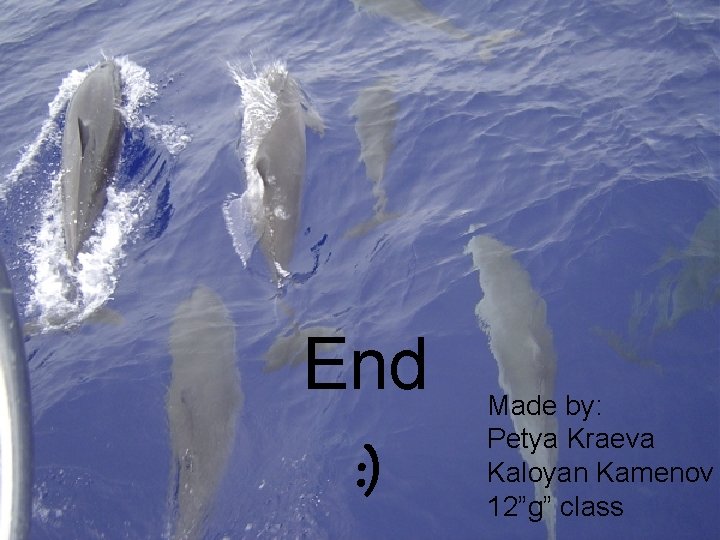  End : ) Made by: Petya Kraeva Kaloyan Kamenov 12”g” class 