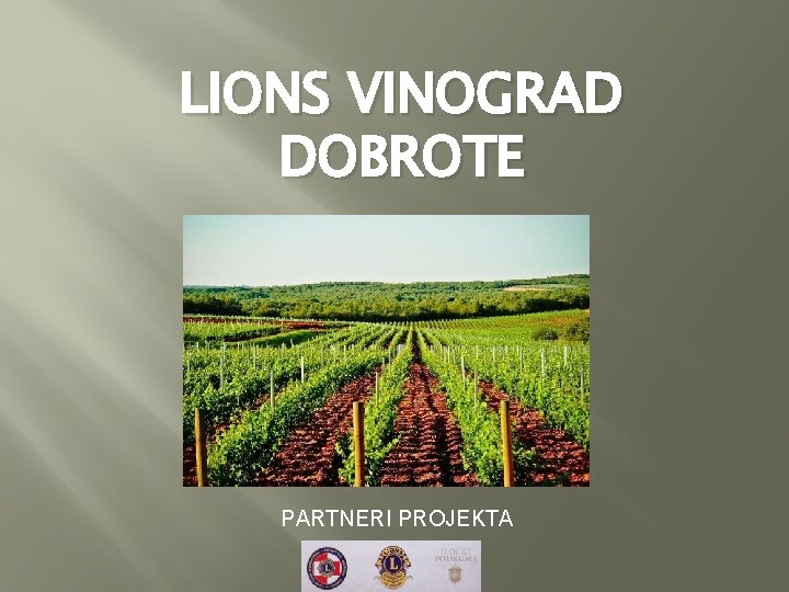 LIONS VINOGRAD DOBROTE PARTNERI PROJEKTA 