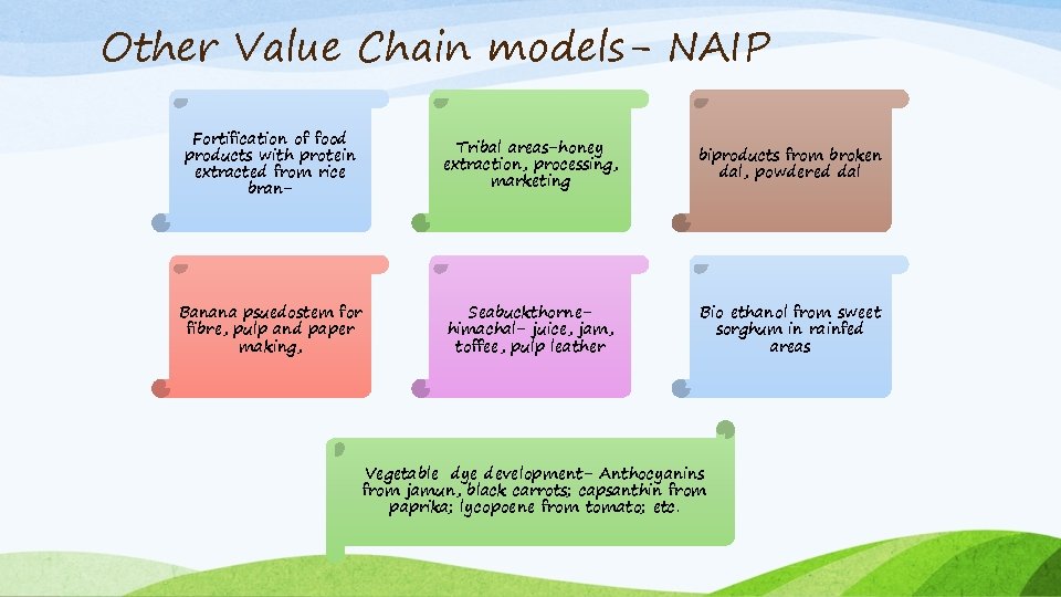 Other Value Chain models- NAIP Fortification of food products with protein extracted from rice