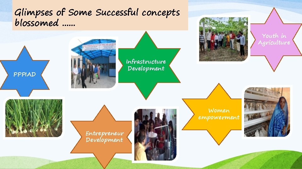 Glimpses of Some Successful concepts blossomed. . . Youth in Agriculture Infrastructure Development PPPIAD
