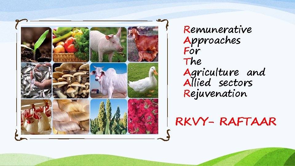 Remunerative Approaches For The Agriculture and Allied sectors Rejuvenation RKVY- RAFTAAR 