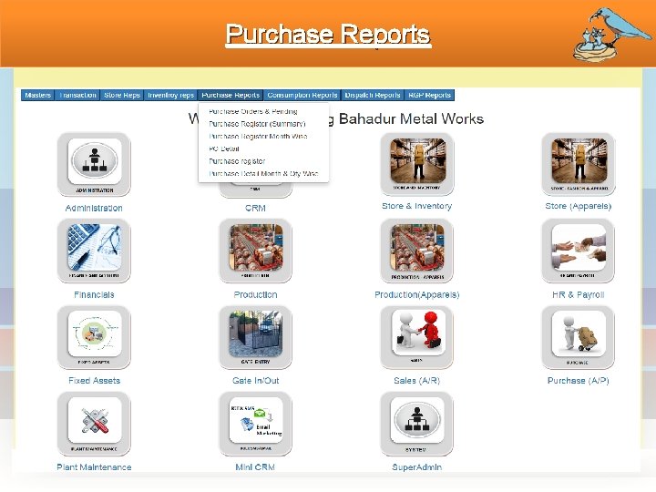 Purchase Reports 