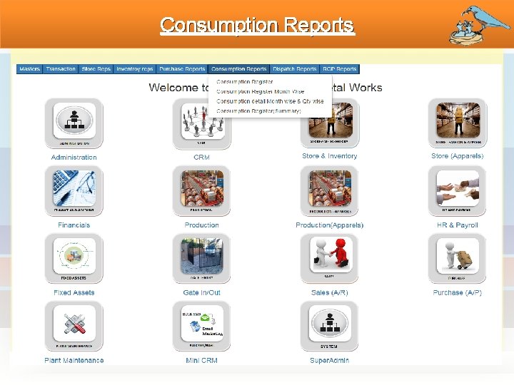 Consumption Reports 