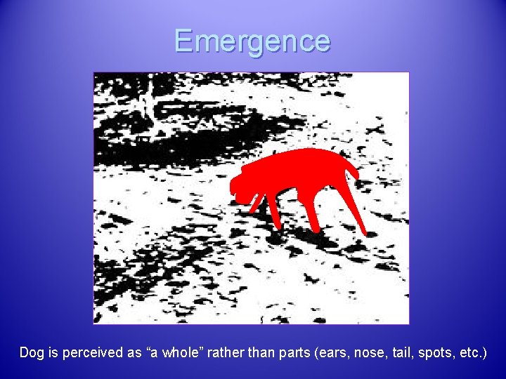 Emergence Dog is perceived as “a whole” rather than parts (ears, nose, tail, spots,