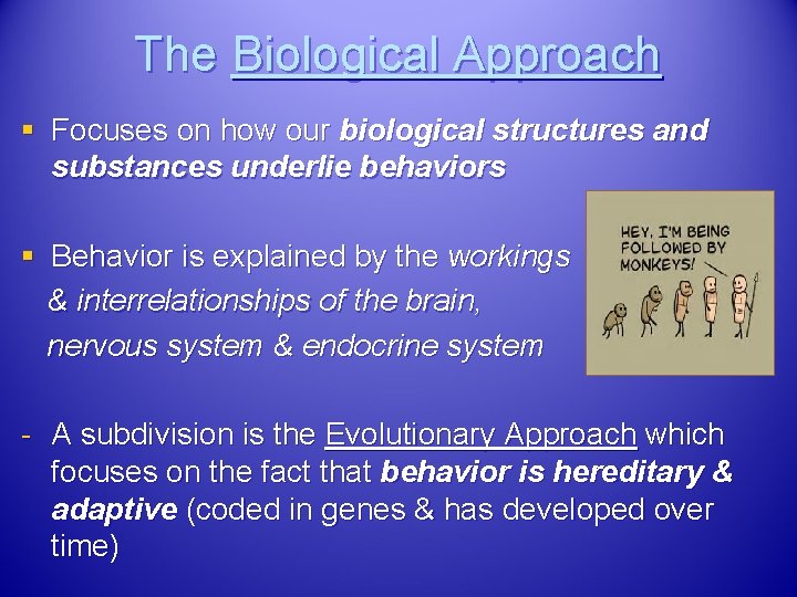 The Biological Approach § Focuses on how our biological structures and substances underlie behaviors