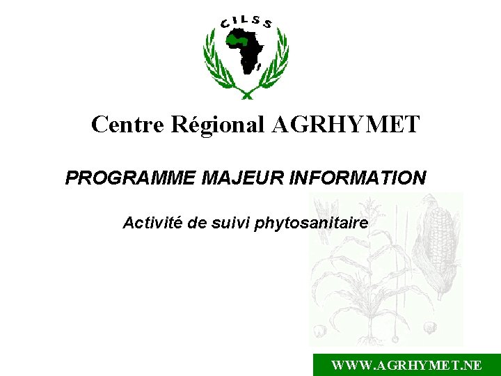 Centre Régional AGRHYMET PROGRAMME MAJEUR INFORMATION Activité de suivi phytosanitaire WWW. AGRHYMET. NE 