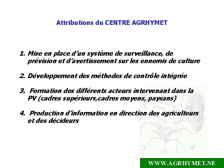 Attributions du CENTRE AGRHYMET 1. Mise en place d’un système de surveillance, de prévision