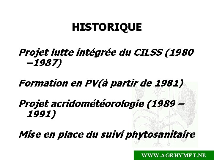 HISTORIQUE Projet lutte intégrée du CILSS (1980 – 1987) Formation en PV(à partir de