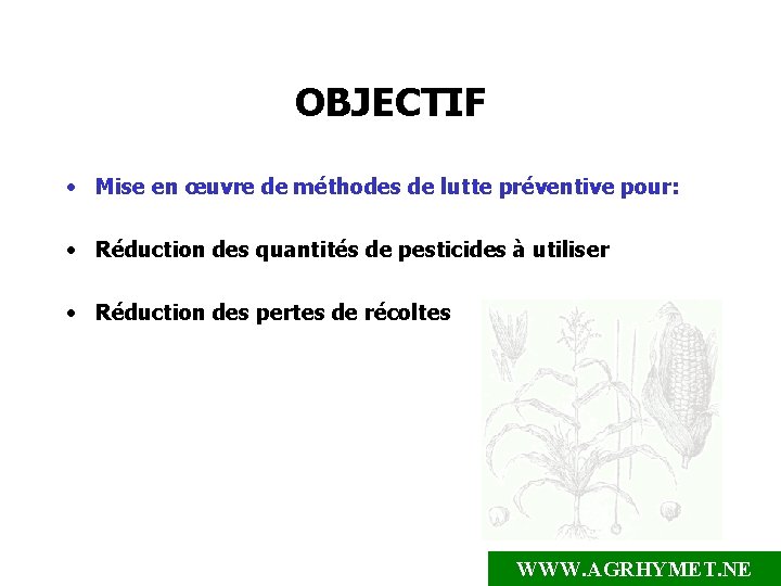 OBJECTIF • Mise en œuvre de méthodes de lutte préventive pour: • Réduction des