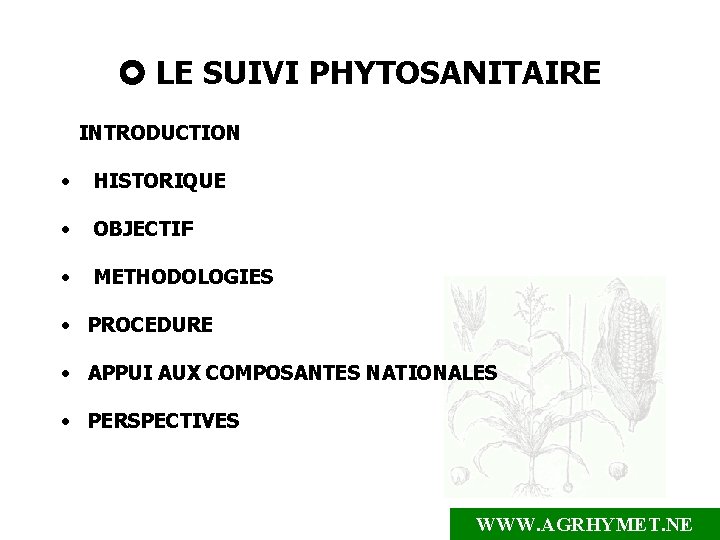  LE SUIVI PHYTOSANITAIRE INTRODUCTION • HISTORIQUE • OBJECTIF • METHODOLOGIES • PROCEDURE •