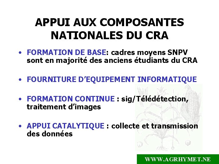 APPUI AUX COMPOSANTES NATIONALES DU CRA • FORMATION DE BASE: cadres moyens SNPV sont