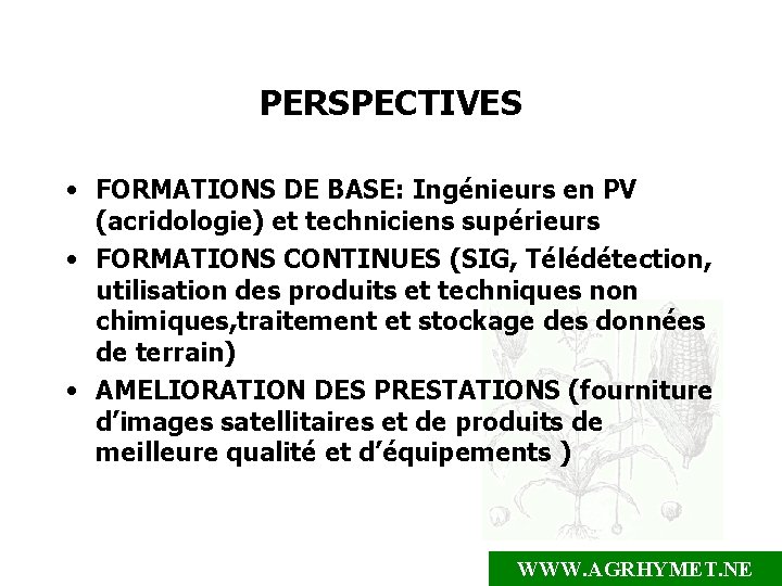 PERSPECTIVES • FORMATIONS DE BASE: Ingénieurs en PV (acridologie) et techniciens supérieurs • FORMATIONS