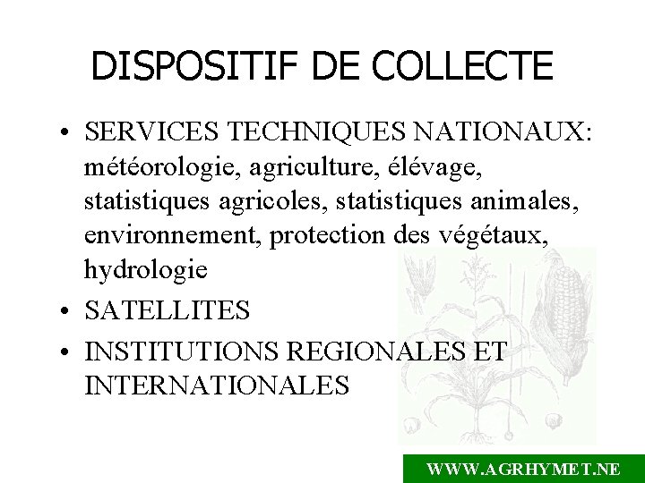 DISPOSITIF DE COLLECTE • SERVICES TECHNIQUES NATIONAUX: météorologie, agriculture, élévage, statistiques agricoles, statistiques animales,