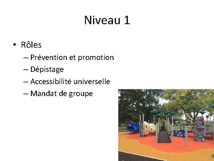 Niveau 1 • Rôles – Prévention et promotion – Dépistage – Accessibilité universelle –