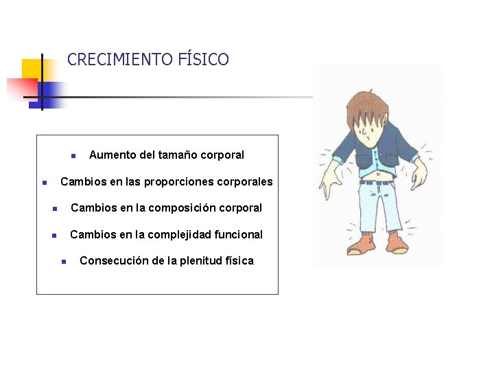 CRECIMIENTO FÍSICO n Aumento del tamaño corporal Cambios en las proporciones corporales n n