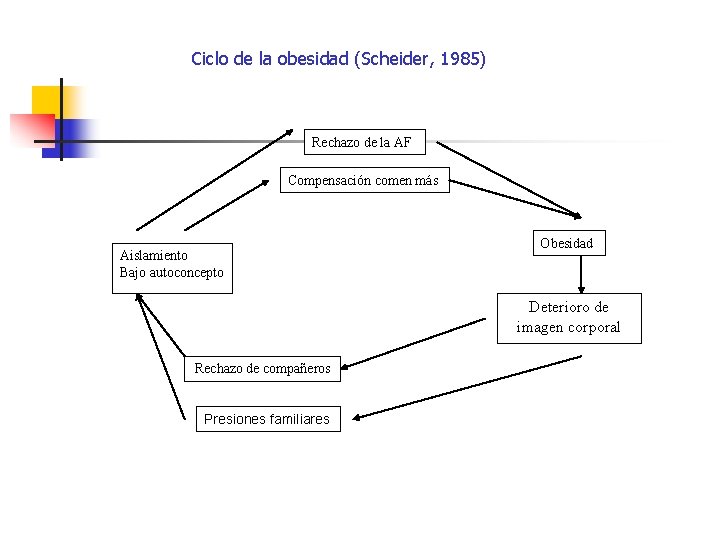 Ciclo de la obesidad (Scheider, 1985) Rechazo de la AF Compensación comen más Aislamiento