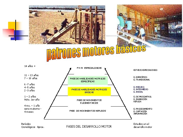 14 años + 11 – 13 años 7 – 10 años 6 -7 años