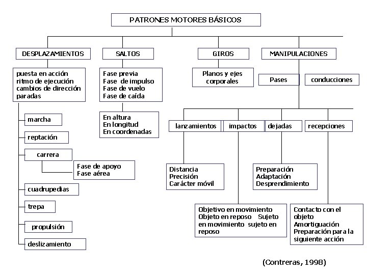 PATRONES MOTORES BÁSICOS DESPLAZAMIENTOS puesta en acción ritmo de ejecución cambios de dirección paradas