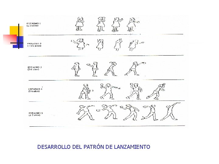 DESARROLLO DEL PATRÓN DE LANZAMIENTO 