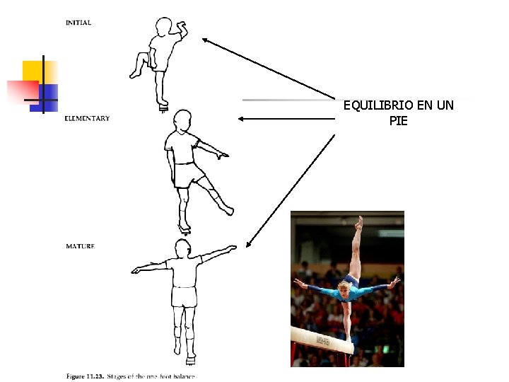 EQUILIBRIO EN UN PIE 