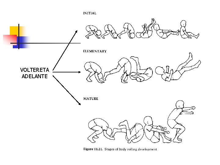 VOLTERETA ADELANTE 