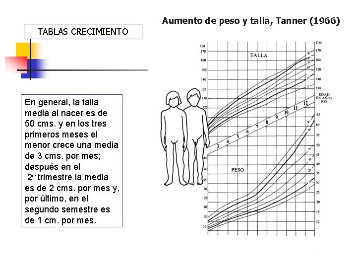 Aumento de peso y talla, Tanner (1966) TABLAS CRECIMIENTO En general, la talla media