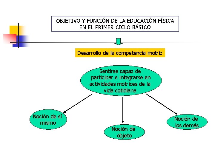 OBJETIVO Y FUNCIÓN DE LA EDUCACIÓN FÍSICA EN EL PRIMER CICLO BÁSICO Desarrollo de