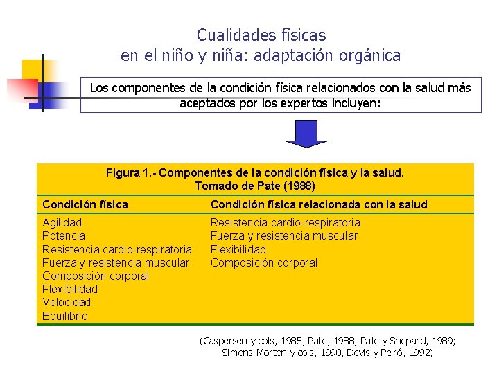 Cualidades físicas en el niño y niña: adaptación orgánica Los componentes de la condición