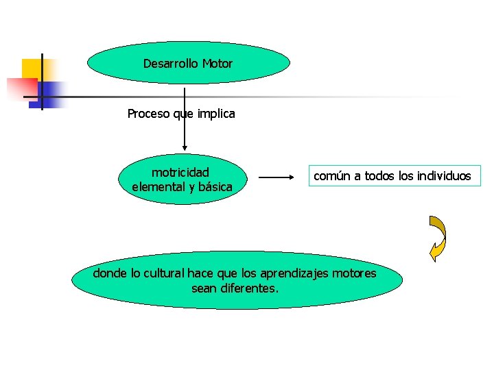 Desarrollo Motor Proceso que implica motricidad elemental y básica común a todos los individuos