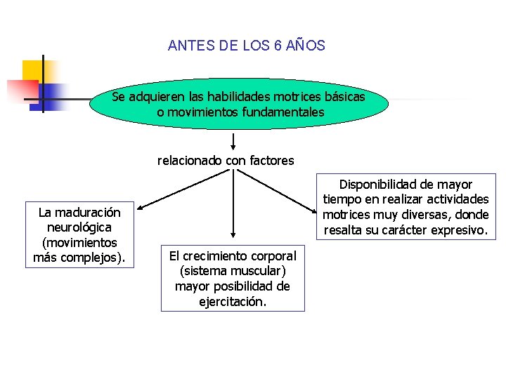 ANTES DE LOS 6 AÑOS Se adquieren las habilidades motrices básicas o movimientos fundamentales