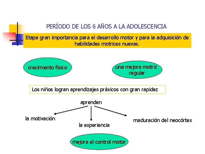 PERÍODO DE LOS 6 AÑOS A LA ADOLESCENCIA Etapa gran importancia para el desarrollo