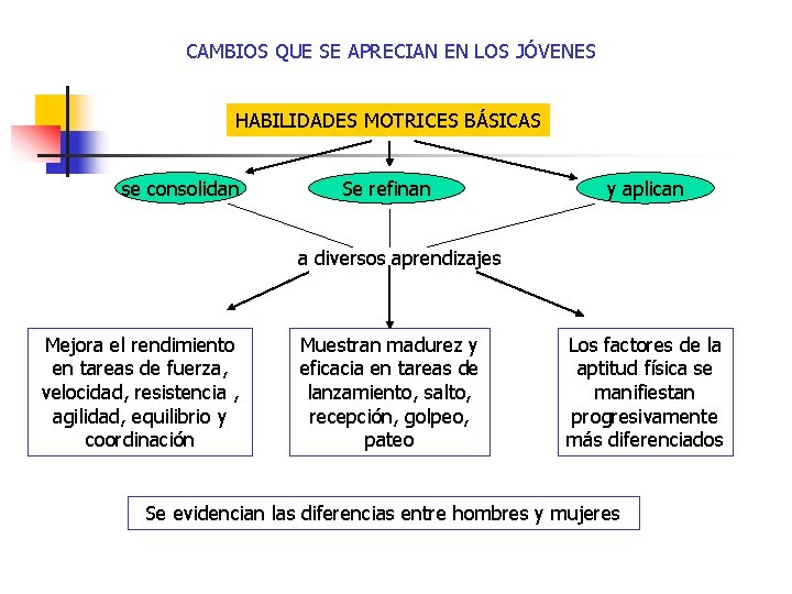 CAMBIOS QUE SE APRECIAN EN LOS JÓVENES HABILIDADES MOTRICES BÁSICAS se consolidan Se refinan