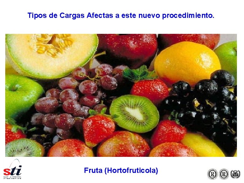 Tipos de Cargas Afectas a este nuevo procedimiento. Fruta (Hortofruticola) Tipos de Cargas Afectas a este nuevo procedimiento. Fruta (Hortofruticola)