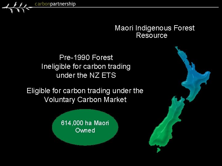 Voluntary Carbon Market And Maori Indigenous Forests Resource Pre-1990 Forest Ineligible for carbon trading
