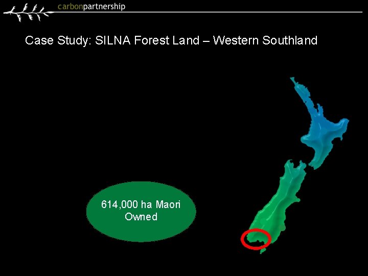 Case Study: SILNA Forest Land – Western Southland 614, 000 ha Maori Owned 