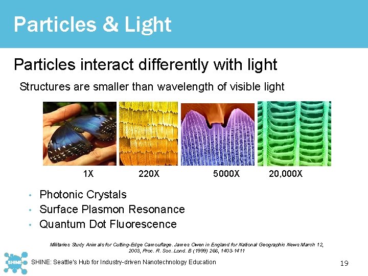 Particles & Light Particles interact differently with light Structures are smaller than wavelength of