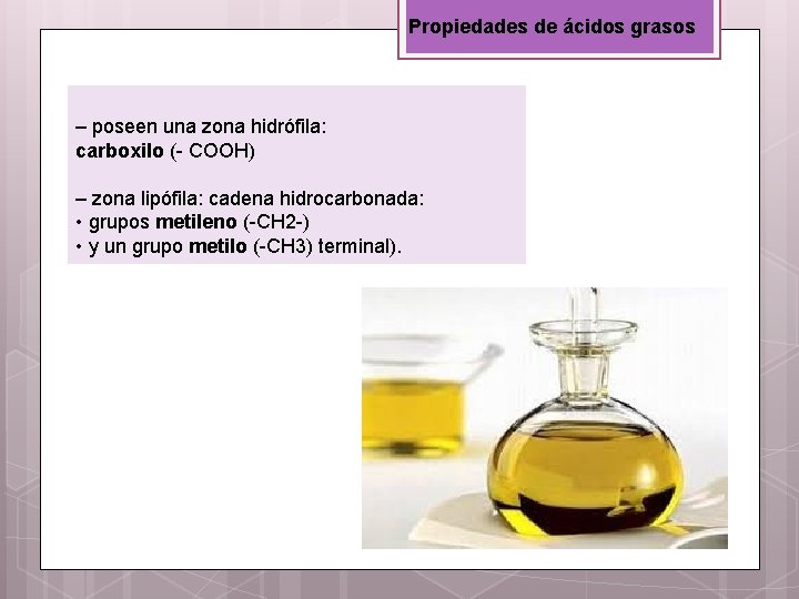 Propiedades de ácidos grasos – poseen una zona hidrófila: carboxilo (- COOH) – zona