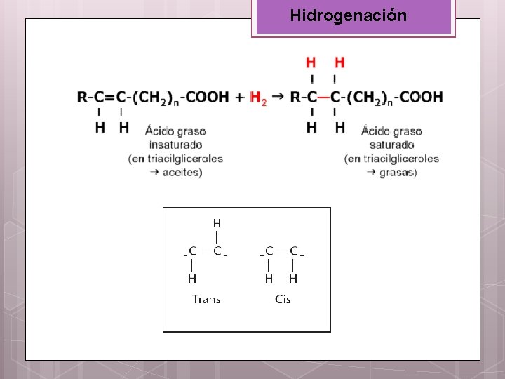 Hidrogenación 