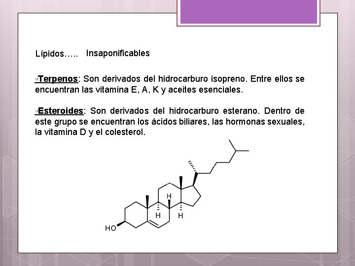 Lípidos…. . Insaponificables ◦Terpenos: Son derivados del hidrocarburo isopreno. Entre ellos se encuentran las