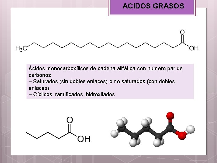 ACIDOS GRASOS Ácidos monocarboxílicos de cadena alifática con numero par de carbonos – Saturados