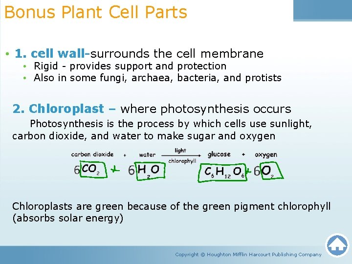 Bonus Plant Cell Parts • 1. cell wall-surrounds the cell membrane • Rigid -