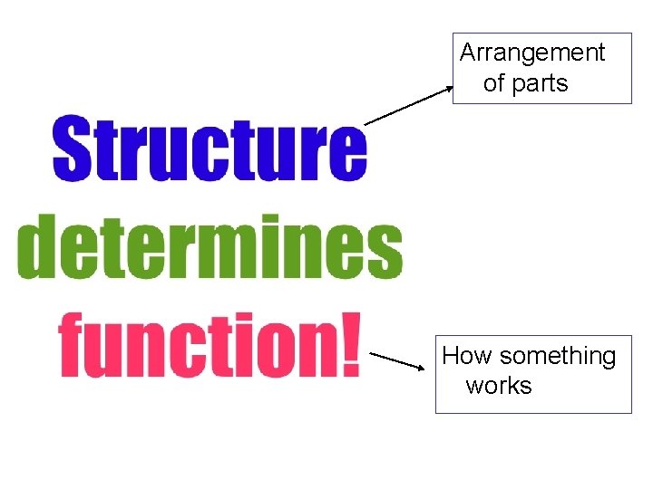 Arrangement of parts How something works 