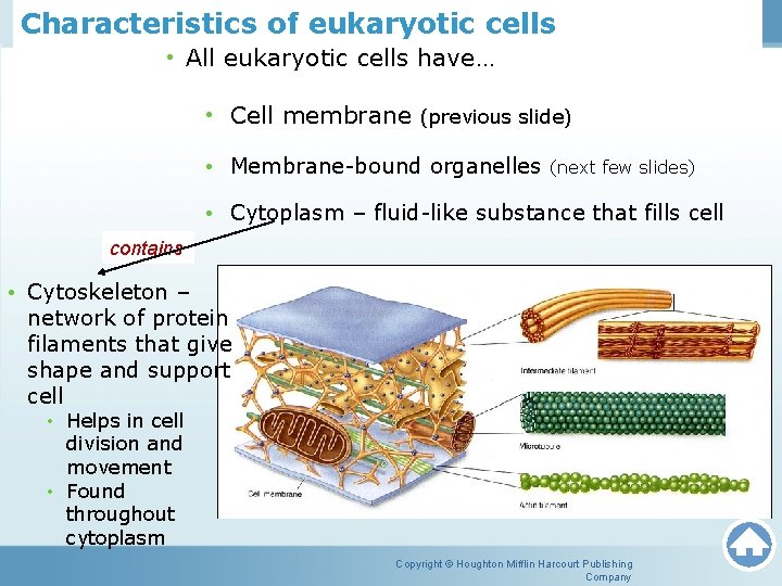 Unit 1 Lesson 3 Cell Structure and Function Characteristics of eukaryotic cells • All