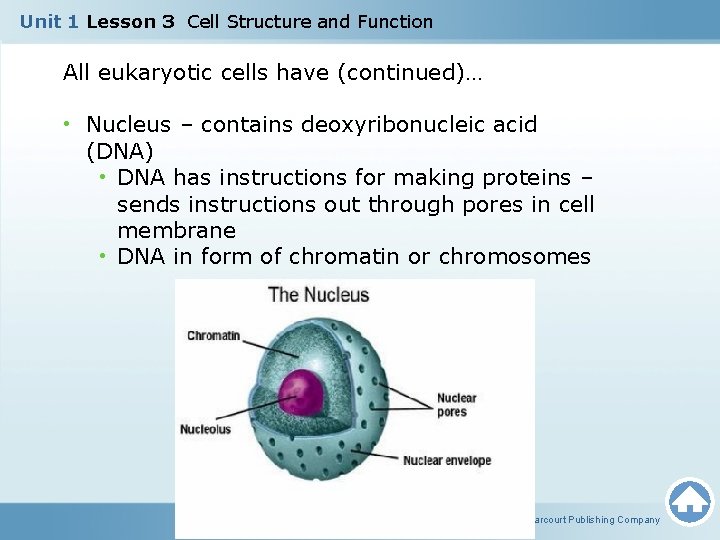 Unit 1 Lesson 3 Cell Structure and Function All eukaryotic cells have (continued)… •