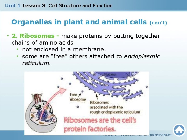 Unit 1 Lesson 3 Cell Structure and Function Organelles in plant and animal cells