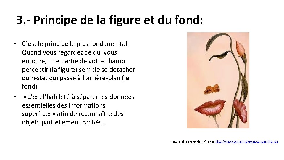 3. - Principe de la figure et du fond: • C´est le principe le