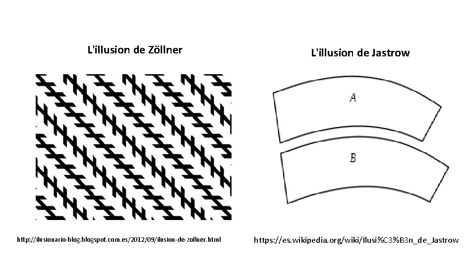  L'illusion de Zöllner http: //ilusionario-blogspot. com. es/2012/09/ilusion-de-zollner. html L'illusion de Jastrow https: //es.