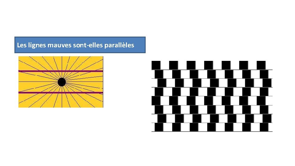 Les lignes mauves sont-elles parallèles 
