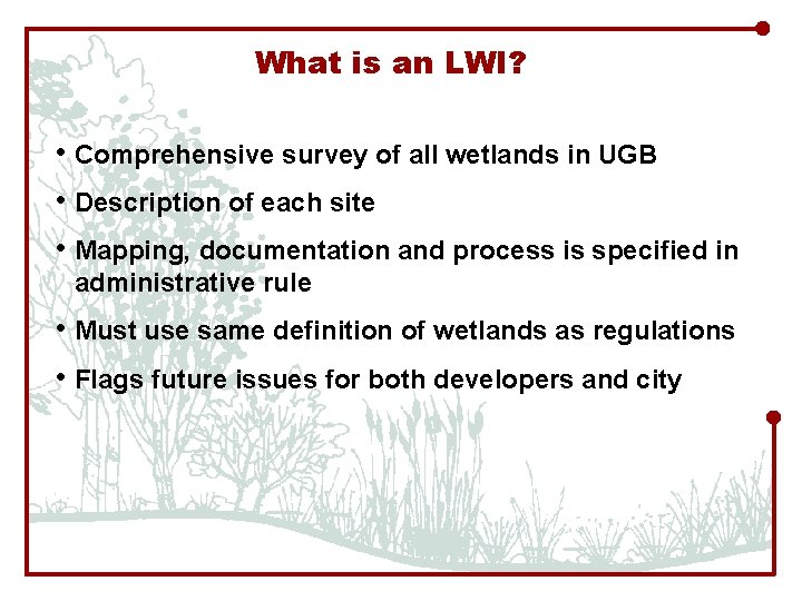 What is an LWI? • Comprehensive survey of all wetlands in UGB • Description